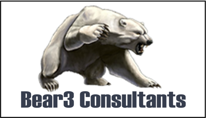 Bear3 Consultants